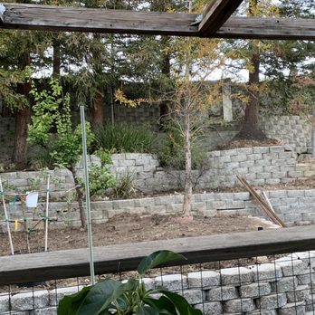 Preciados Landscaping - After - Landscaping Near Me Preciados Landscaping - After - Landscaping Near Me