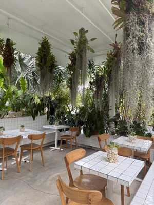 Plant the Future by null