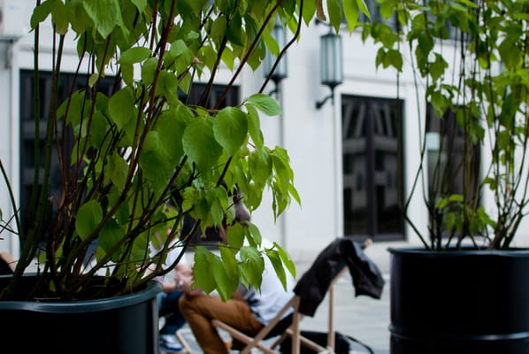 Photo of Cuda na Kiju - Warschau, MZ, PL.