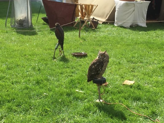 Viking Ship Museum by null