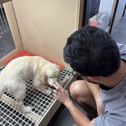 Petland North Kansas City