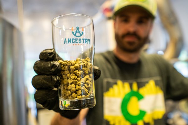 Ancestry Brewing by null