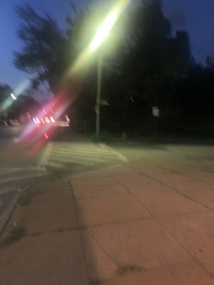 Good Fortune by null