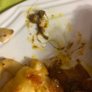Fix-U-Plate - Hair found in my curry goat while eating. - Caribbean Near Me - Brooklyn, New York