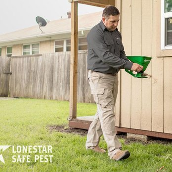 Lonestar Safe Pest - Pest Control Near Me Lonestar Safe Pest - Pest Control Near Me