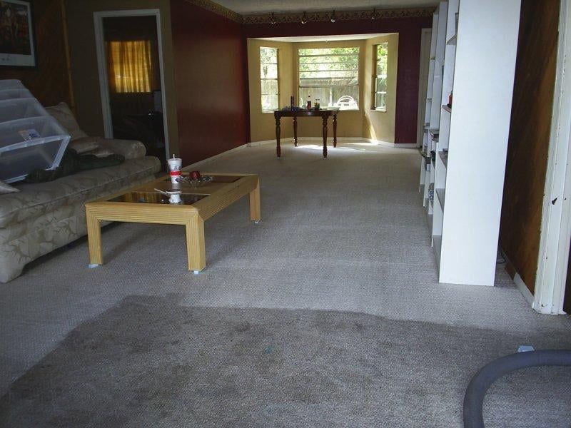 HARPERS CARPET CLEANING PASCO HILLSBOROUGH Updated August 2024 43