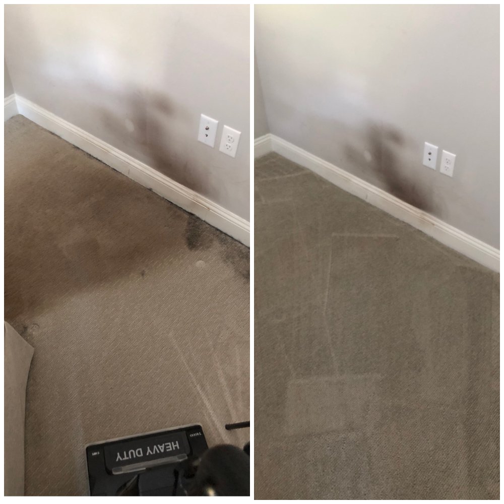 J.G. CARPET CLEANING Updated June 2024 51 Photos & 73 Reviews