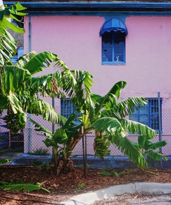 Meacham Urban Farm by null