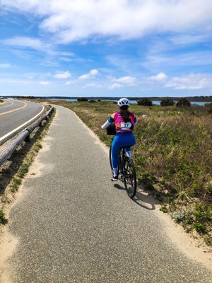 Wheel Happy Bicycle Shop by null