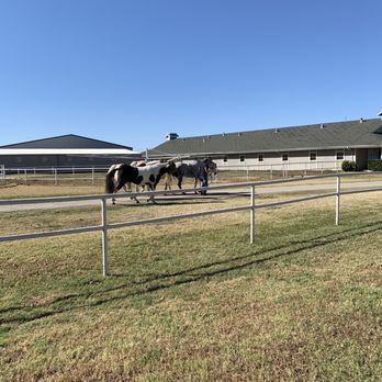 Winterhaven Ranch - WINTERHAVEN - Horse Boarding Near Me - Aubrey, Texas Winterhaven Ranch - WINTERHAVEN - Horse Boarding Near Me - Aubrey, Texas