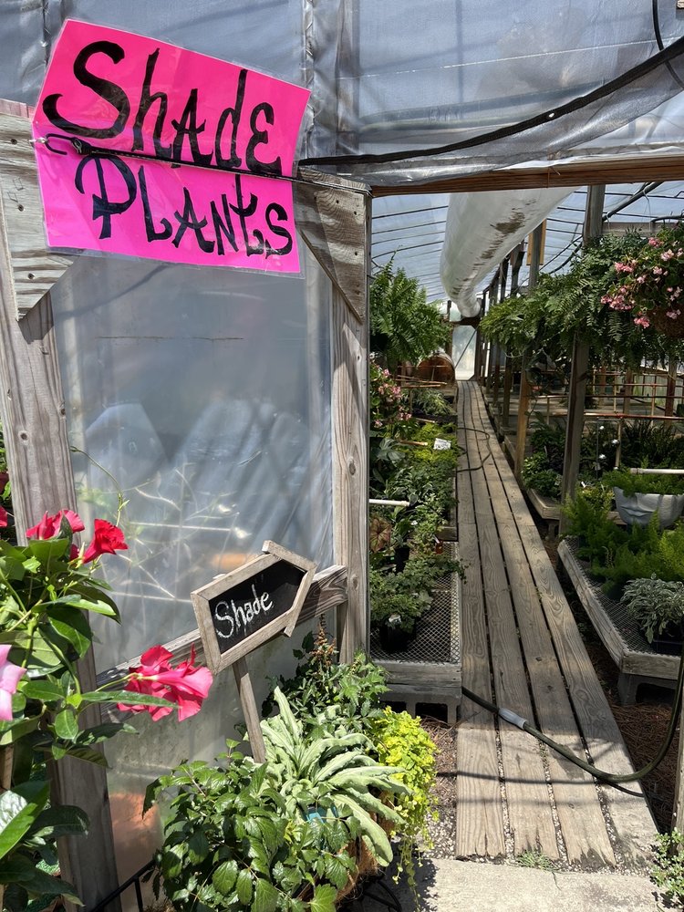 Plant Place