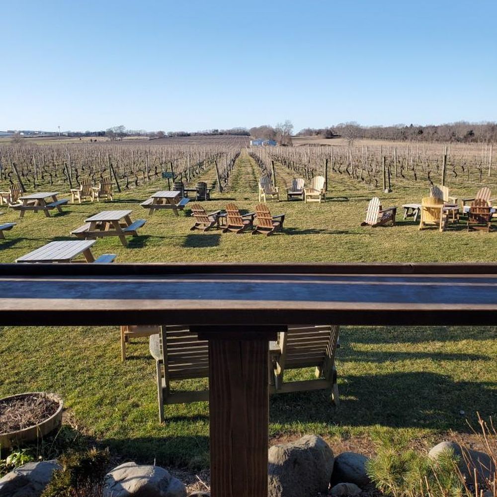 Palmer Vineyards - outdoor area - Wineries Near Me - Aquebogue, New York Palmer Vineyards - outdoor area - Wineries Near Me - Aquebogue, New York
