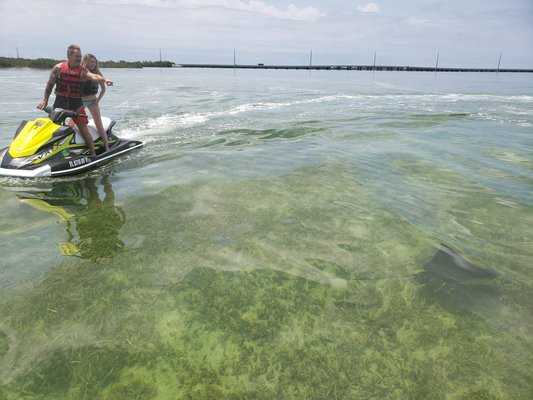 Sunset Watersports Key West by null