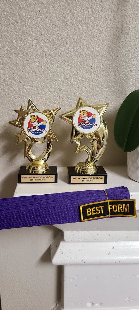 Best Taekwondo Academy Logo