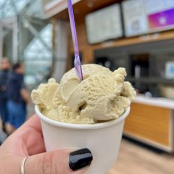 Salted Caramel. The salt accentuates the caramel, giving it a savory twist. I loved it.