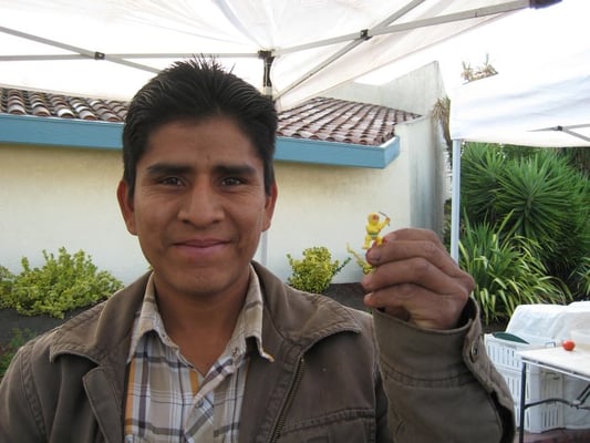 Berryessa Farmers' Market by null