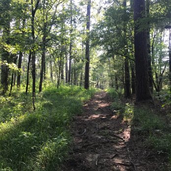 Lake Bistineau State Park - Parks Near Me - Doyline, Louisiana