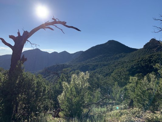 STEFANIE LONG - KELLER WILLIAMS REALTY - Albuquerque, New Mexico - Real