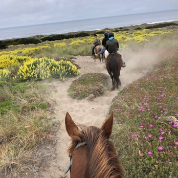 Five Brooks - Heading over the dunes to the ocean - Horseback Riding Near Me - Bodega Bay, California