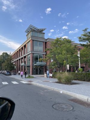 Princeton University by null