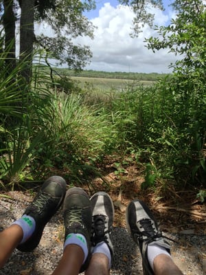 Edisto Beach State Park by null
