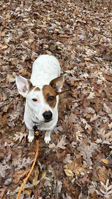 Oak Mountain State Park by null