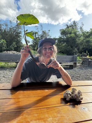 La Kahea Community Farm by null