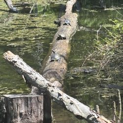 Hoyt Farm Park