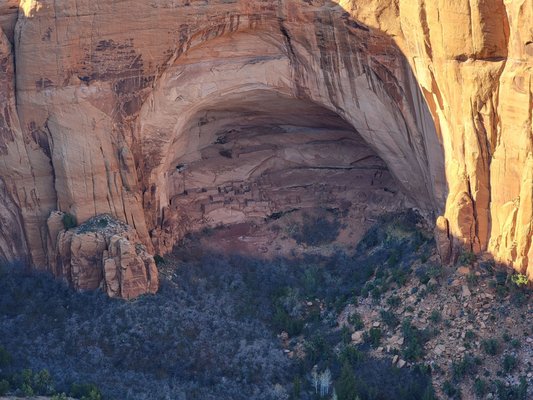 Navajo National Monument by null