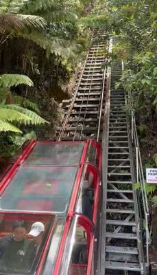 Blue Mountains National Park by null