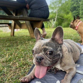 Orchard Lake Campground - Campgrounds Near Me - Saluda, North Carolina Orchard Lake Campground - Campgrounds Near Me - Saluda, North Carolina