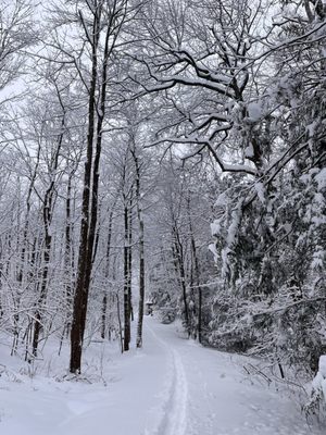 Minnewaska State Park Preserve by null