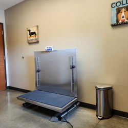 Round Rock Animal Hospital - Exam room