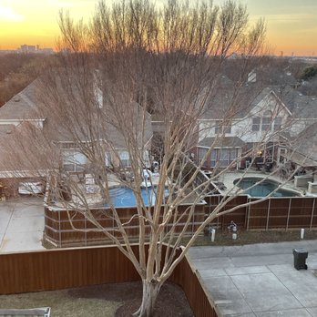 H Tree Service - Tree trimming - Tree Services Near Me - Richardson , Texas H Tree Service - Tree trimming - Tree Services Near Me - Richardson , Texas