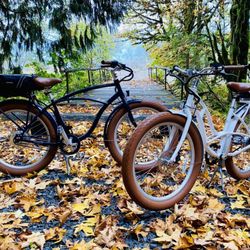 Elkamp - Perfect bikes too!