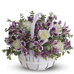 Exton Flowers - Or this ..