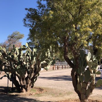 Picacho / Tucson NW KOA - Landscape - RV Parks Near Me - Picacho, Arizona