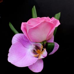 Lynne Davis Wedding and Events
