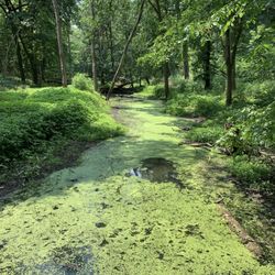 Messenger Woods Nature Preserve