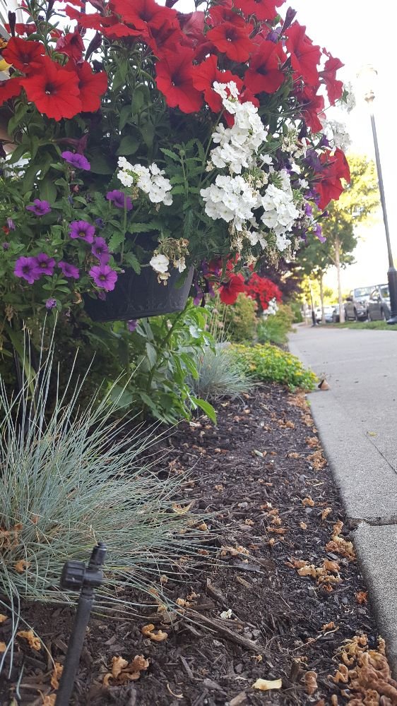 Slide of Douglas Irrigation