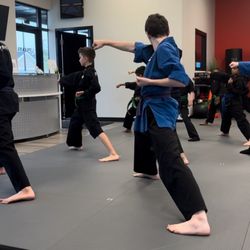 UpLevel Martial Arts- Fort Mill