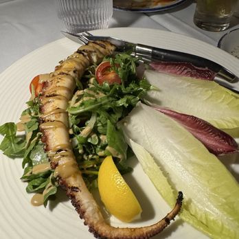 Vitolo - Octopus - Italian Near Me - Fort Lauderdale, Florida Vitolo - Octopus - Italian Near Me - Fort Lauderdale, Florida