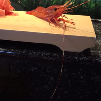 Shiro's - The live shrimp seconds before serving! - Sushi Bars Near Me - Seattle, Washington Shiro's - The live shrimp seconds before serving! - Sushi Bars Near Me - Seattle, Washington