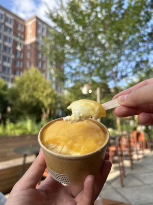 Bird in Hand by null