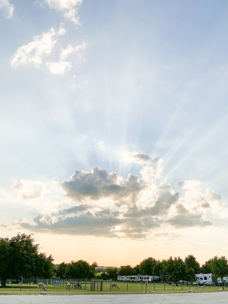 WAGON MASTER RV PARK Updated July 2024 57 Photos & 25 Reviews