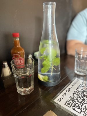 Blu Jam Cafe by null