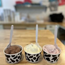 Zinger's Homemade Ice Cream - Chocolate, coconut, strawberry