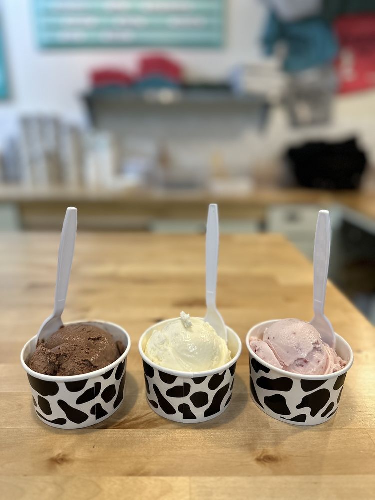 ZINGER’S HOMEMADE ICE CREAM Updated October 2024 122 Photos & 94 Reviews 210 Broadway St