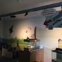 Photo of Amoskeag Fishways Visitors Center