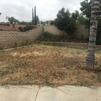 Lucero Tree Service - Tree Services Near Me Lucero Tree Service - Tree Services Near Me